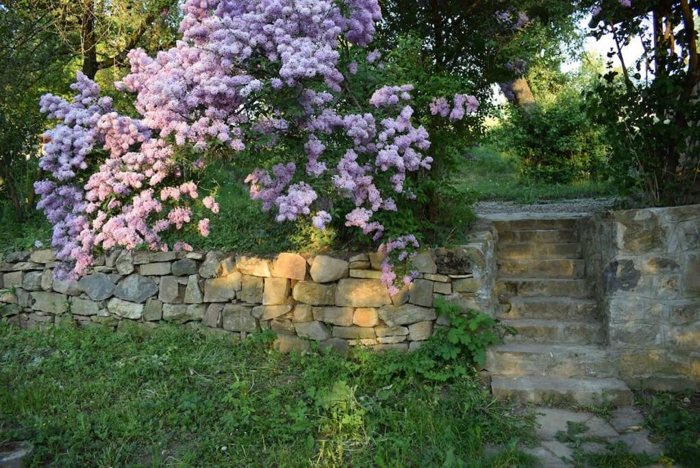 Birdsong Cottage - Peaceful Country Retreat Pauleni-Ciuc Экстерьер фото