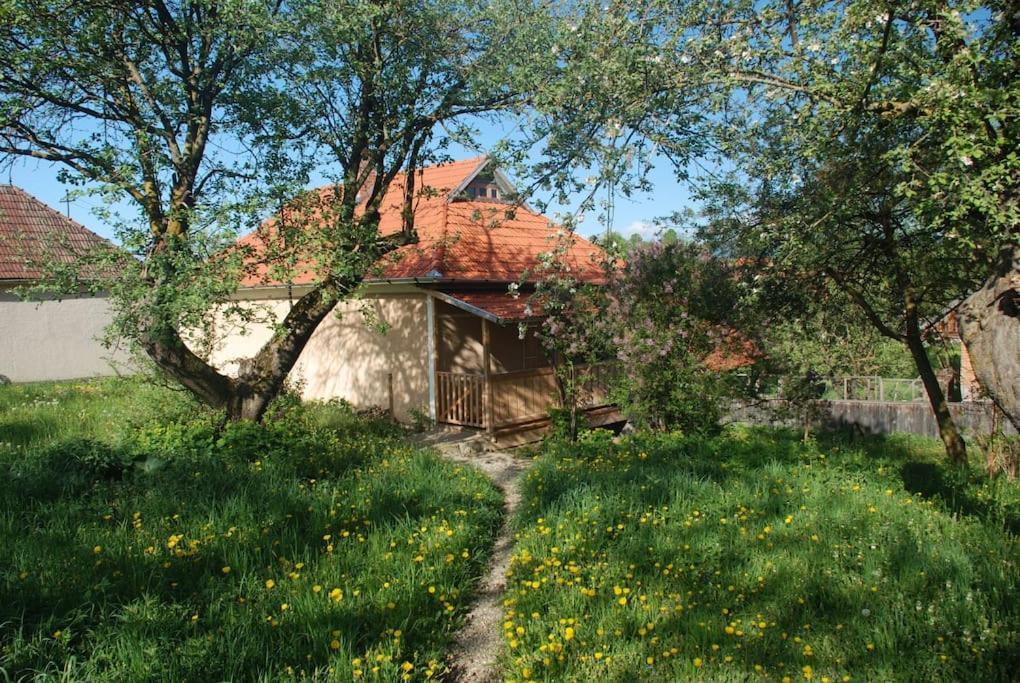 Birdsong Cottage - Peaceful Country Retreat Pauleni-Ciuc Экстерьер фото