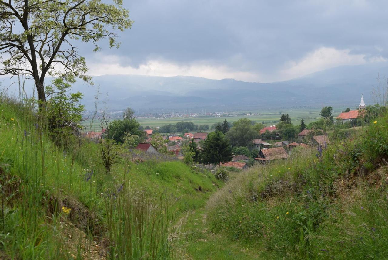 Birdsong Cottage - Peaceful Country Retreat Pauleni-Ciuc Экстерьер фото